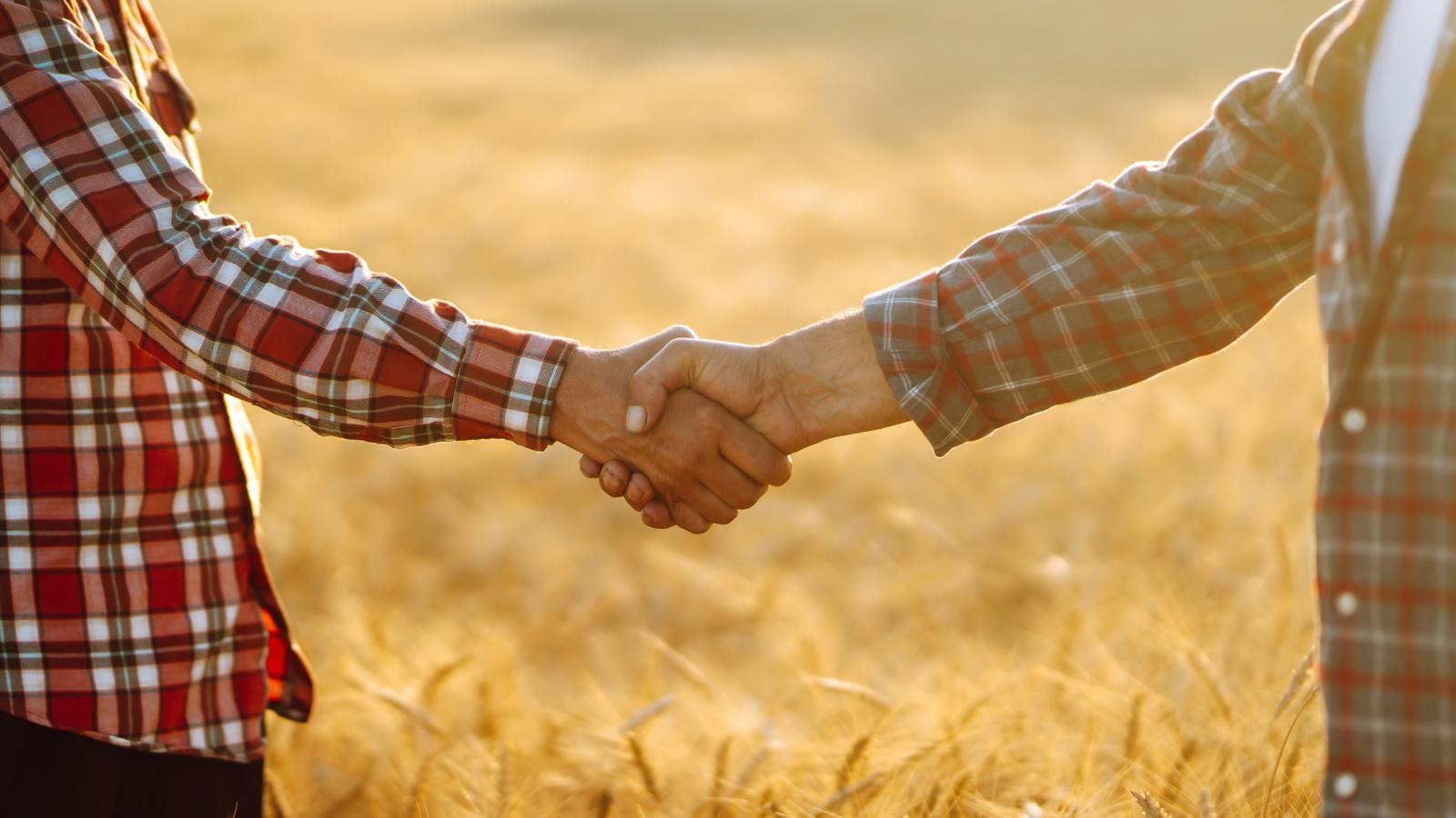 Agrokomplex Export — oil and sugar export