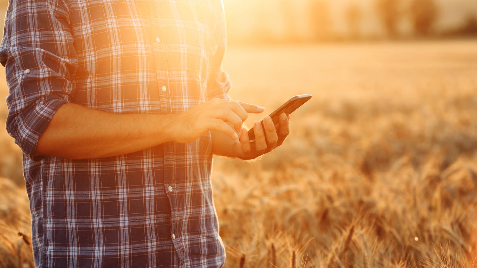 Agrokomplex Export — Agrokomplex Export