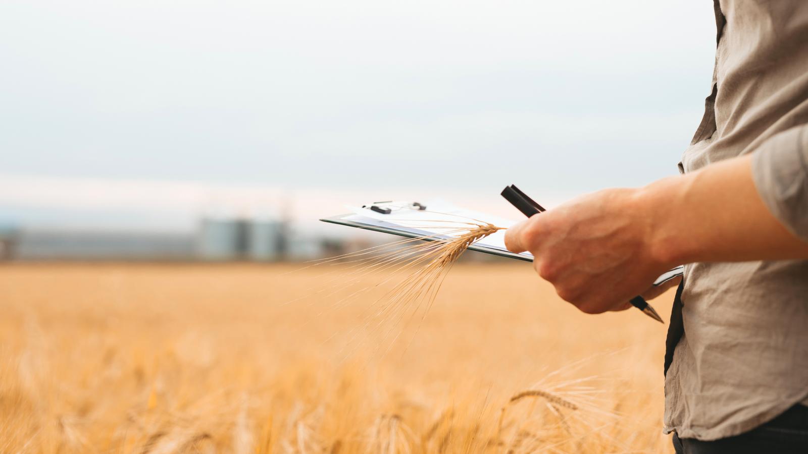 Agrokomplex Export — reliable partner