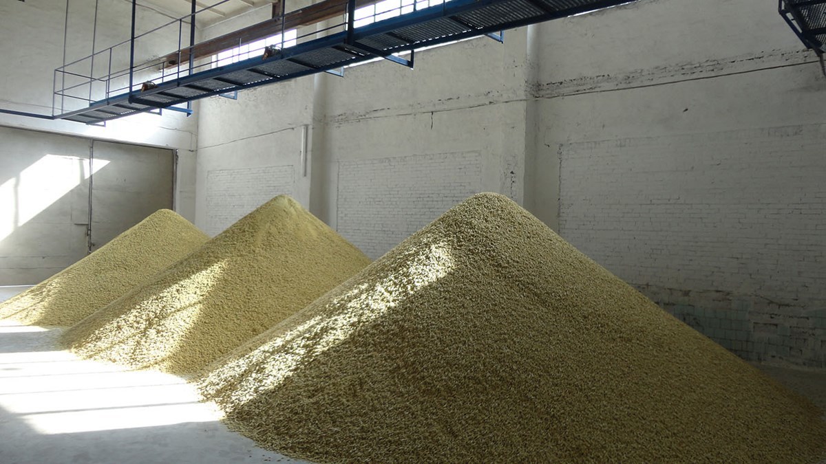 Rapeseed meal — protein-rich feed ingredient from rapeseed/canola processing, Russia origin, FOB Novorossiysk